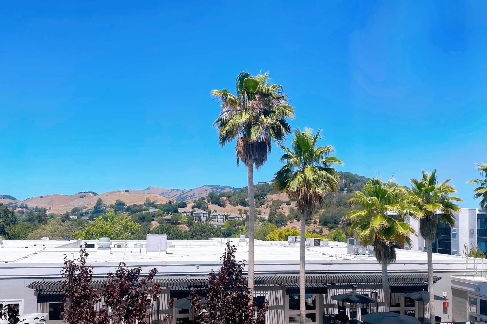 Four Points By Sheraton San Rafael Marin County Exteriér fotografie